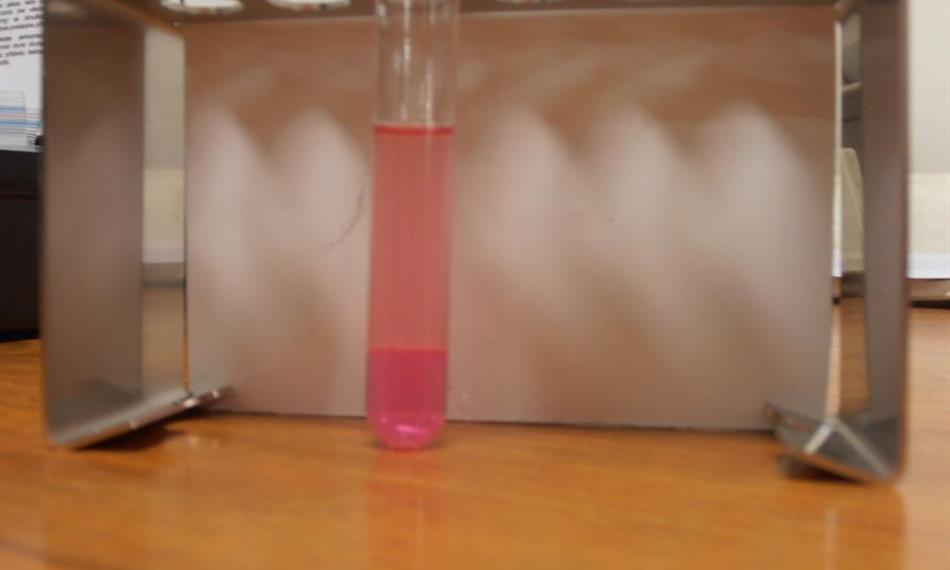 2013-4-11-154nafta 3.JPG